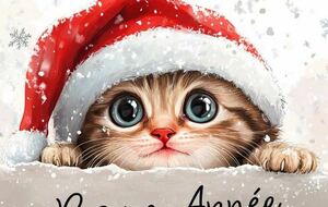 bonnes fêtes de fin d'année