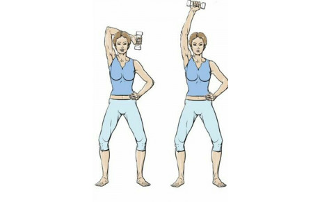 Le MUSCLE, c'est la vie 1